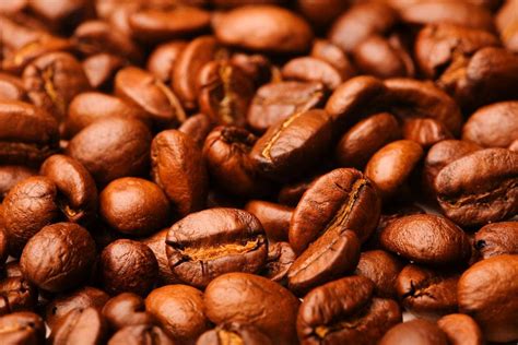 卡 薩 精選 高 海拔 阿拉 比 卡 咖啡 豆